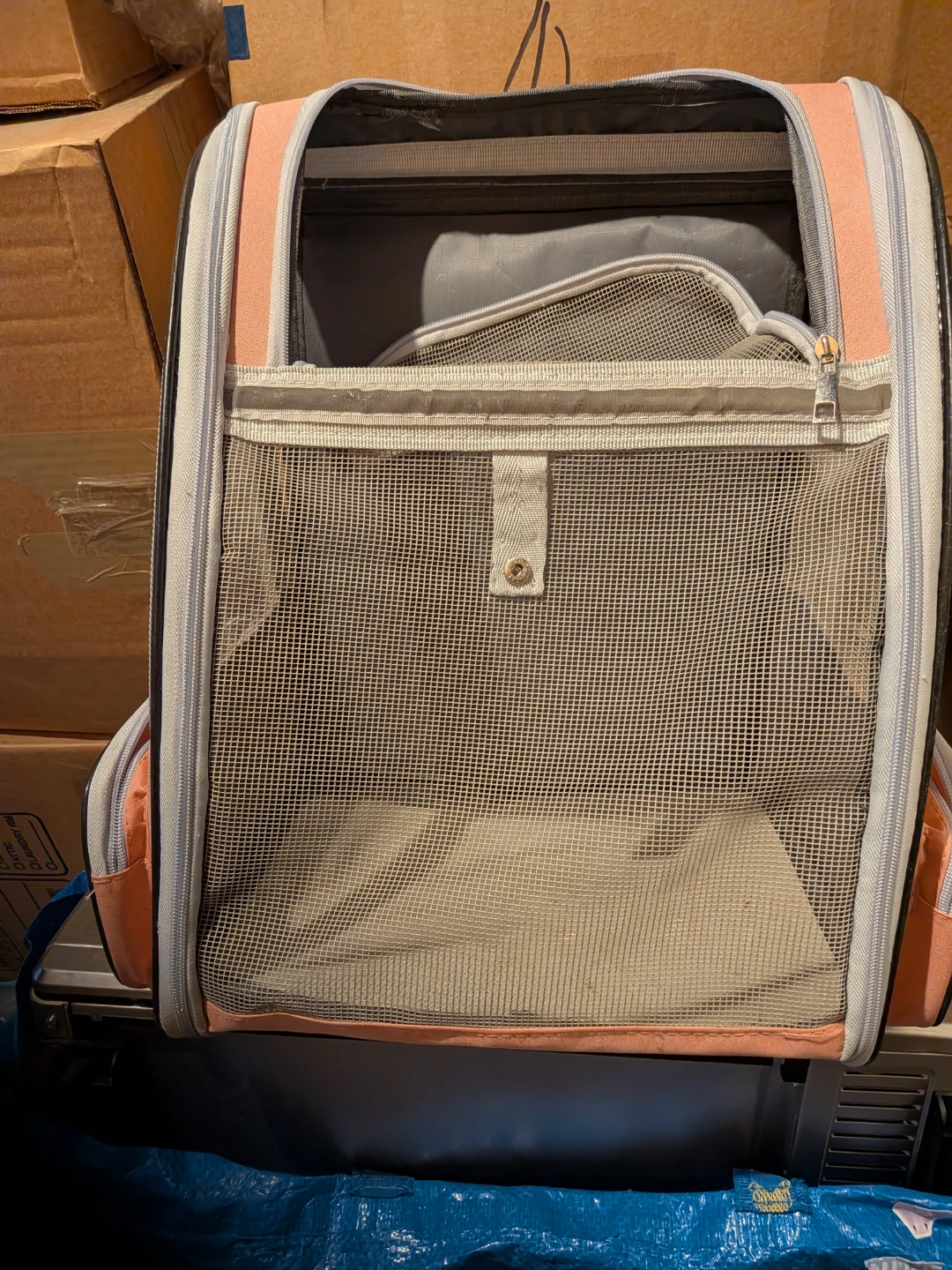 Free Cat Carrier