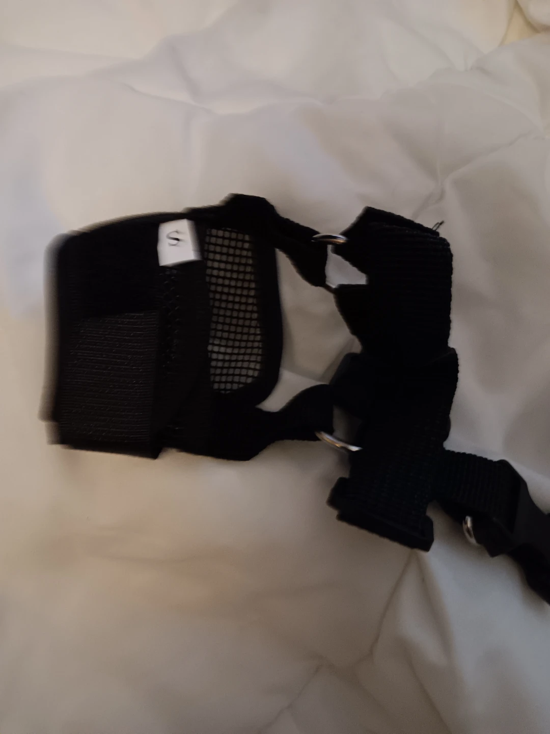 Black Dog Muzzle Size Small