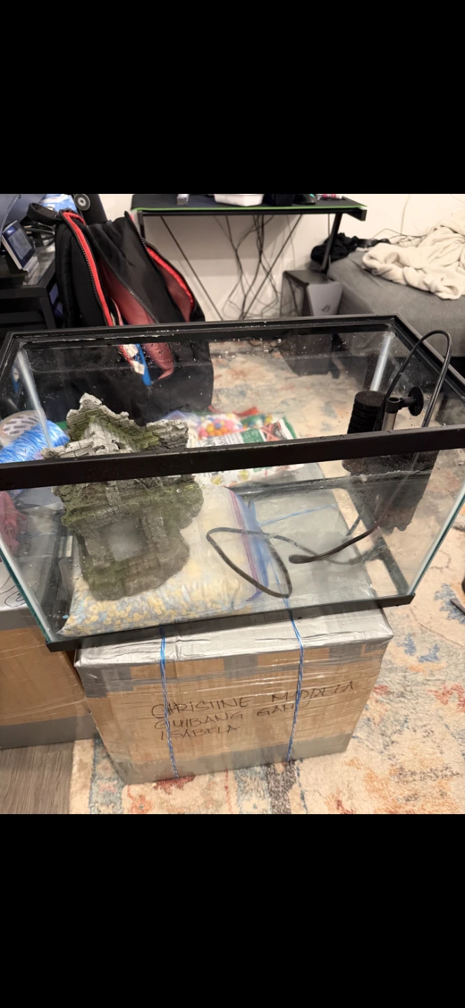 Glass Aquarium with Filter and Decor - photo 5