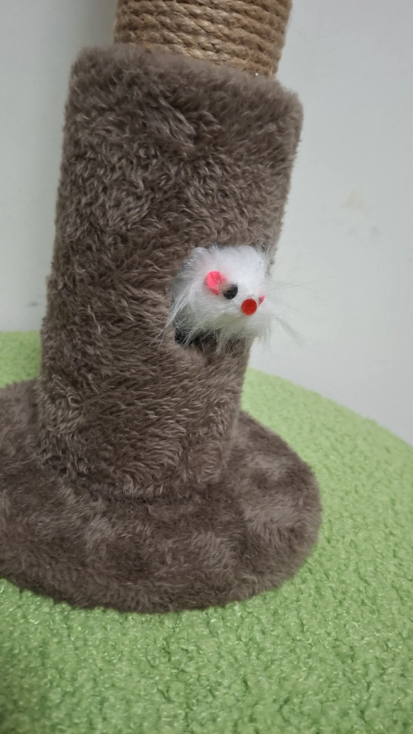 Palm tree cat scratching post 🏈 - photo 2