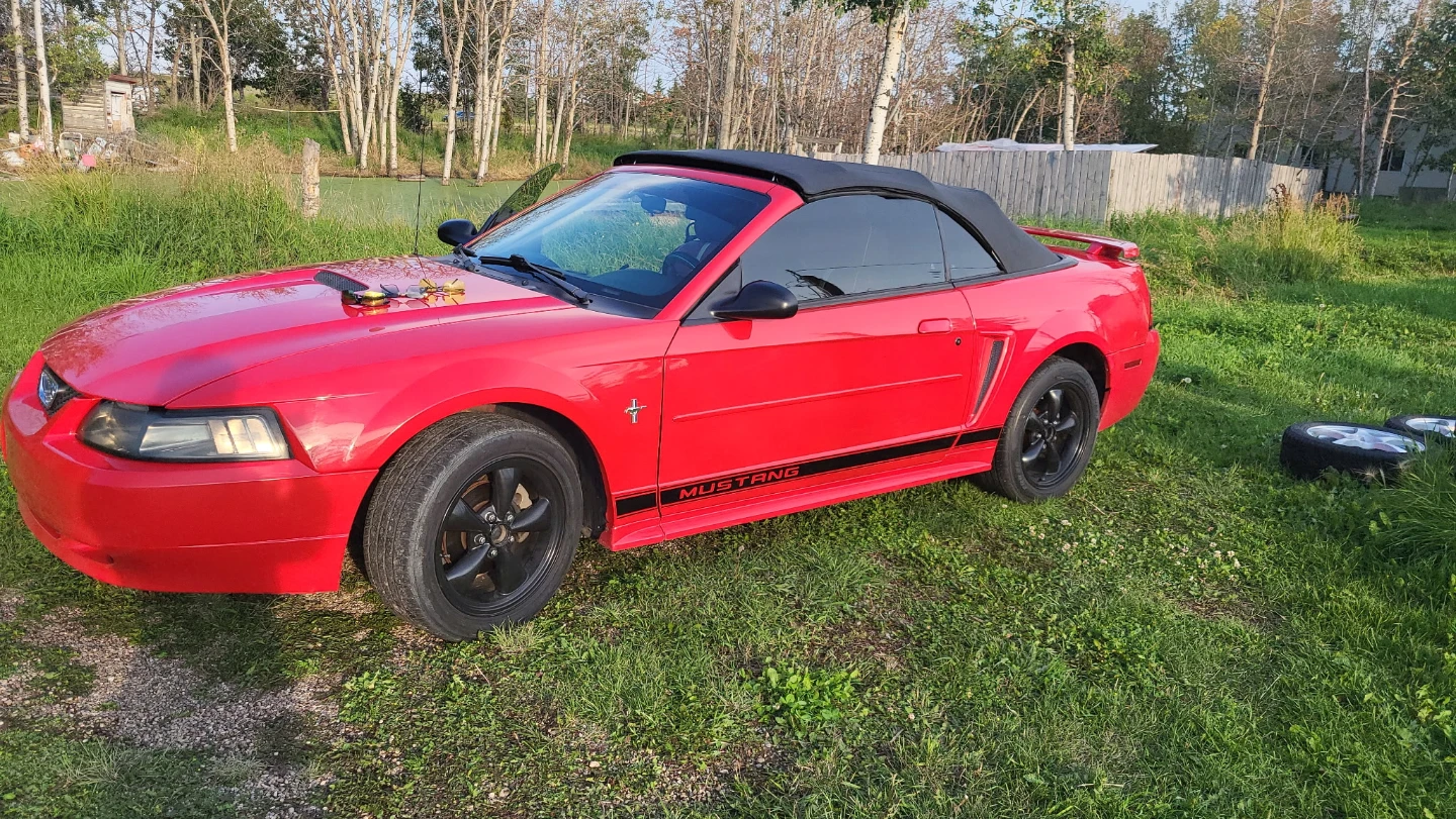Ford Mustang Convertible - photo 4