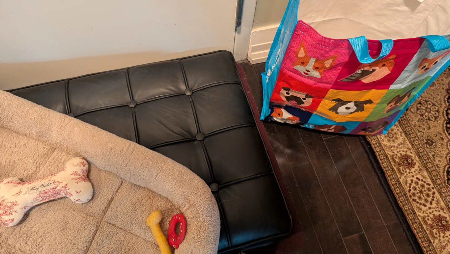 Dog Package:  Bed, Toys, Pads, Bowls and Jacket - photo 2