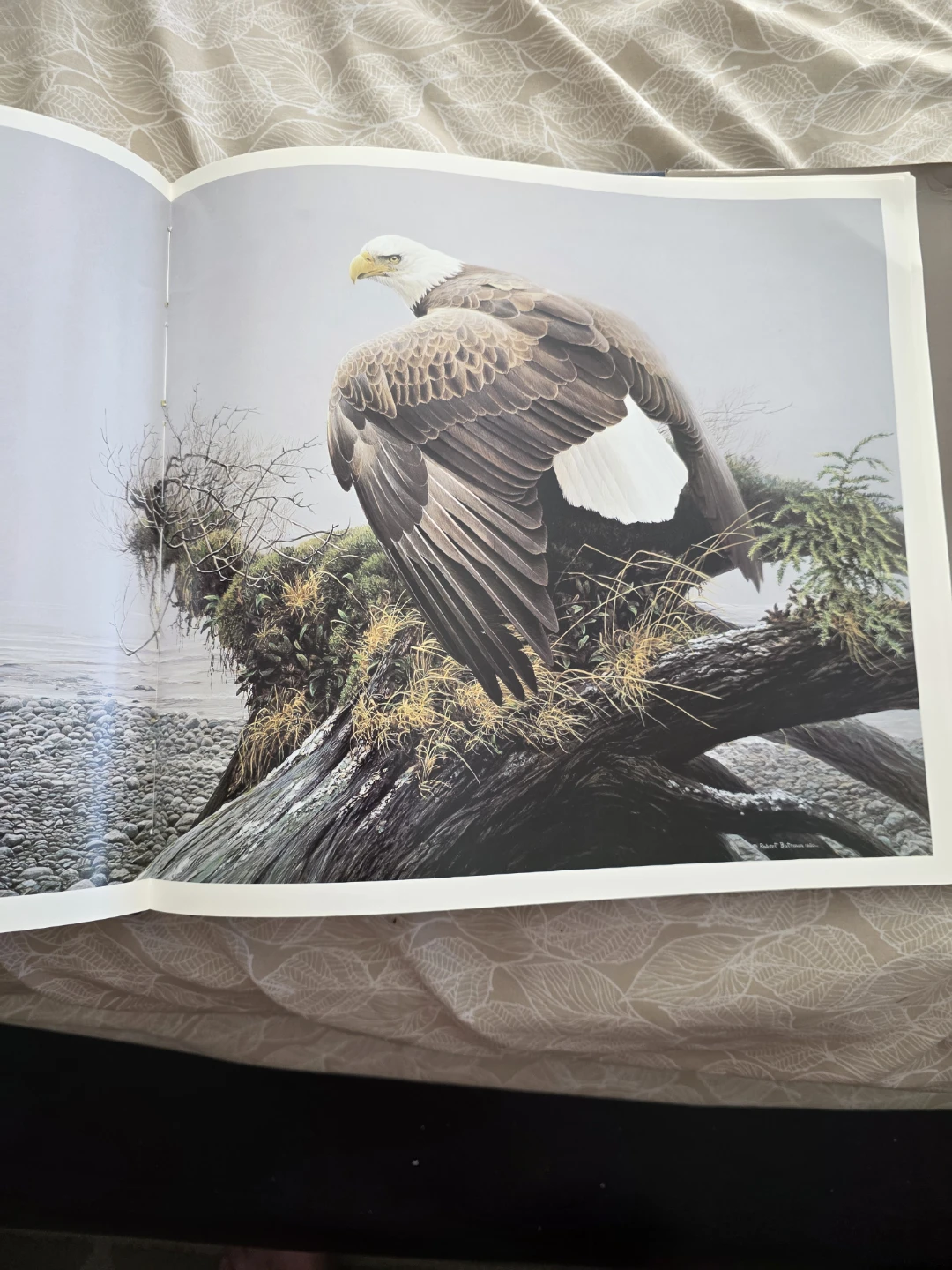 The Art of Robert Bateman Hardcover Book - photo 2
