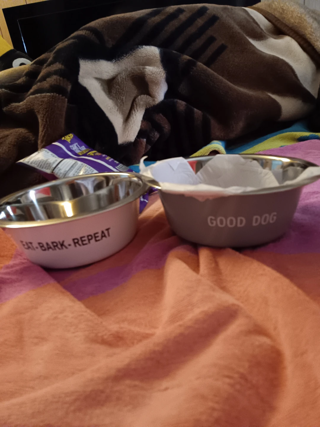 Set of Two Pet Bowls - photo 2
