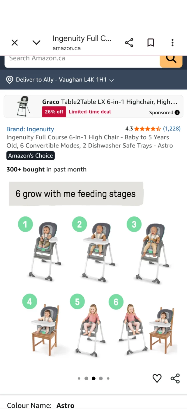 Ingenuity High Chair - photo 4