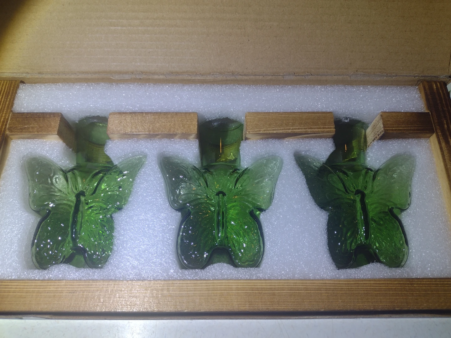 Green Butterfly Propagation Station