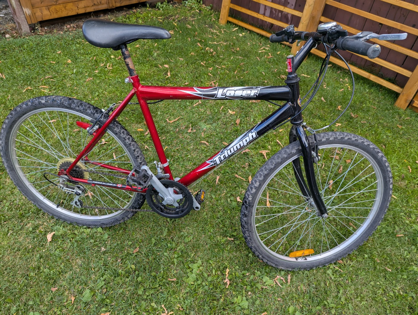 Triumph Laser Mountain Bike - photo 4
