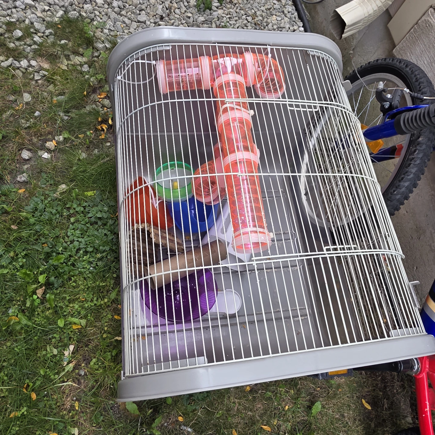 Small Animal Cage with Accessories
