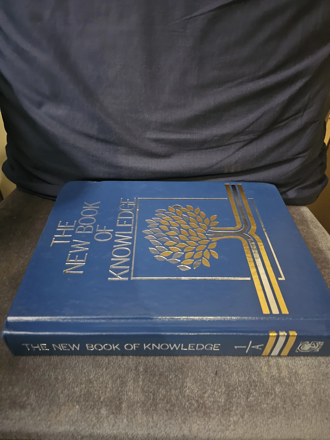 The New Book of Knowledge Volume 1 A - photo 2