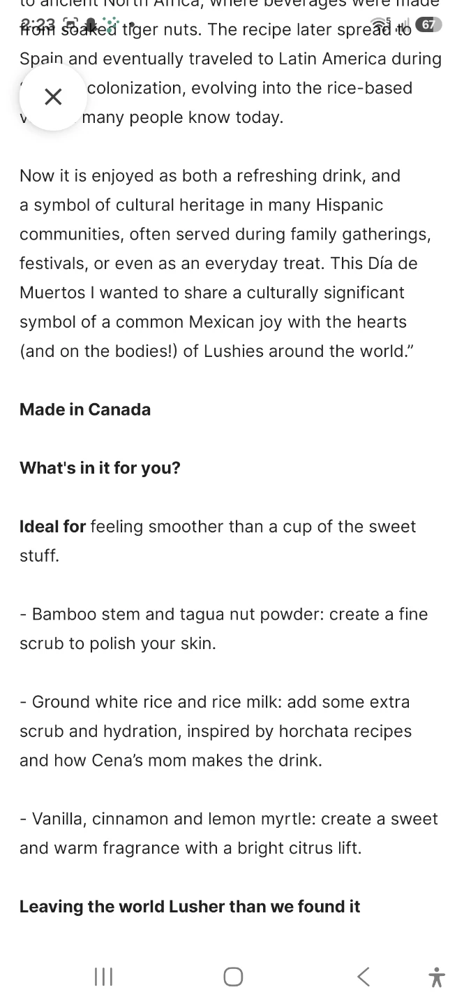 Lush Horchata Body Scrub 100g - photo 3