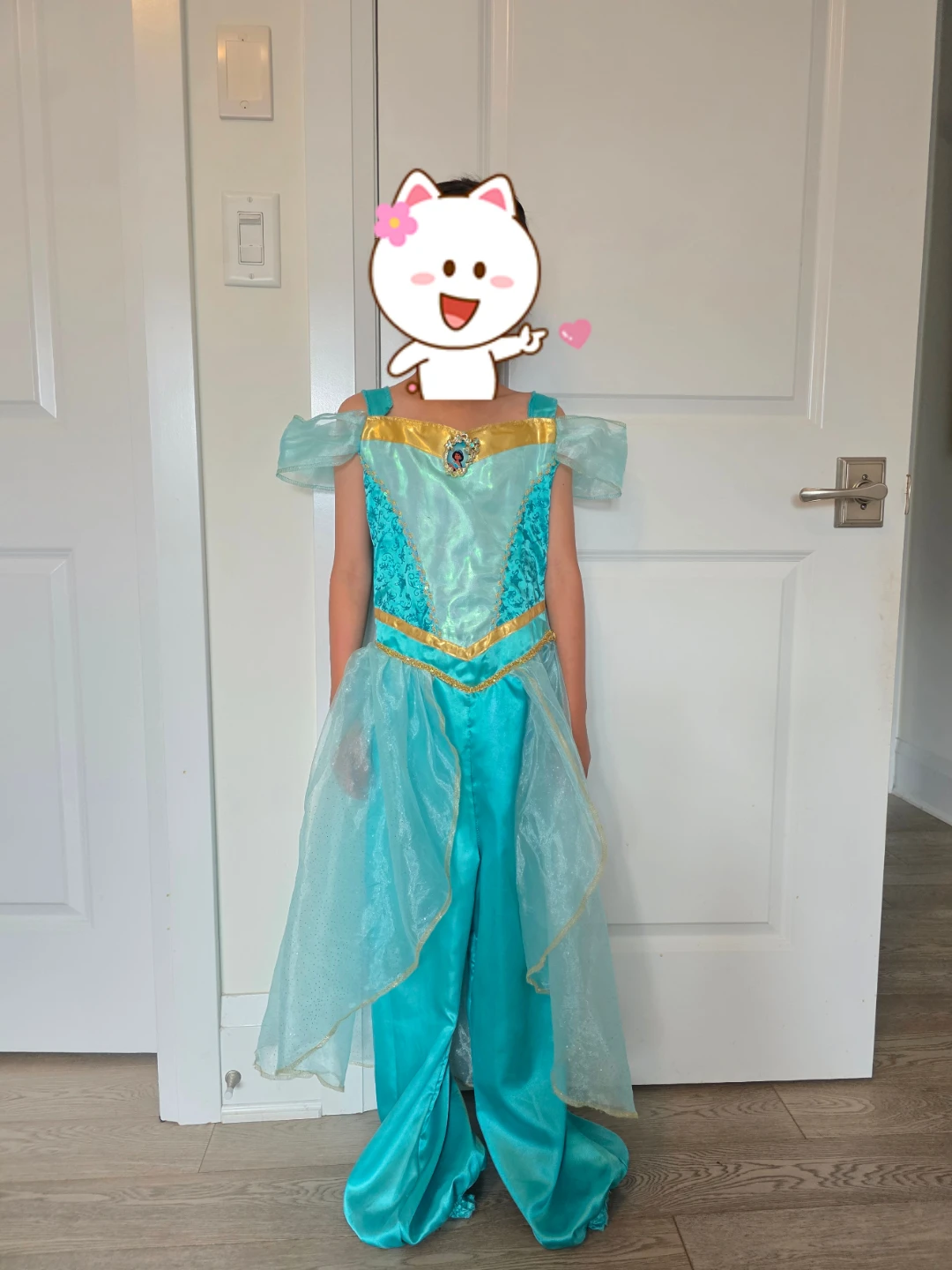 Disney Princess Jasmine Costume