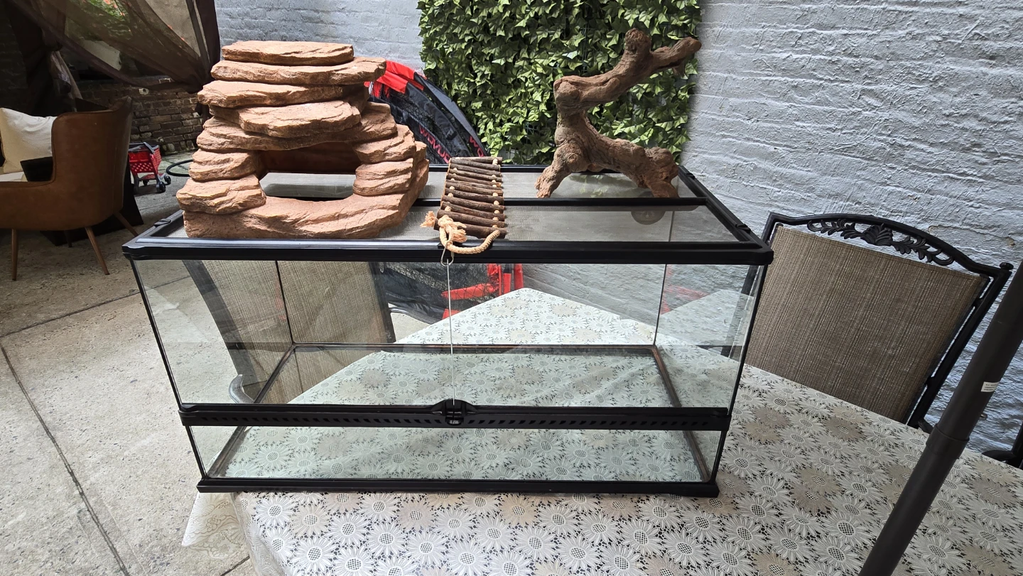 Glass Reptile Terrarium with Decor