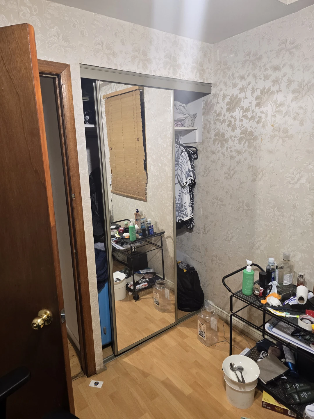 1 Bed, 2 Bath - Room for Rent - Oct 1st Move-in - photo 5