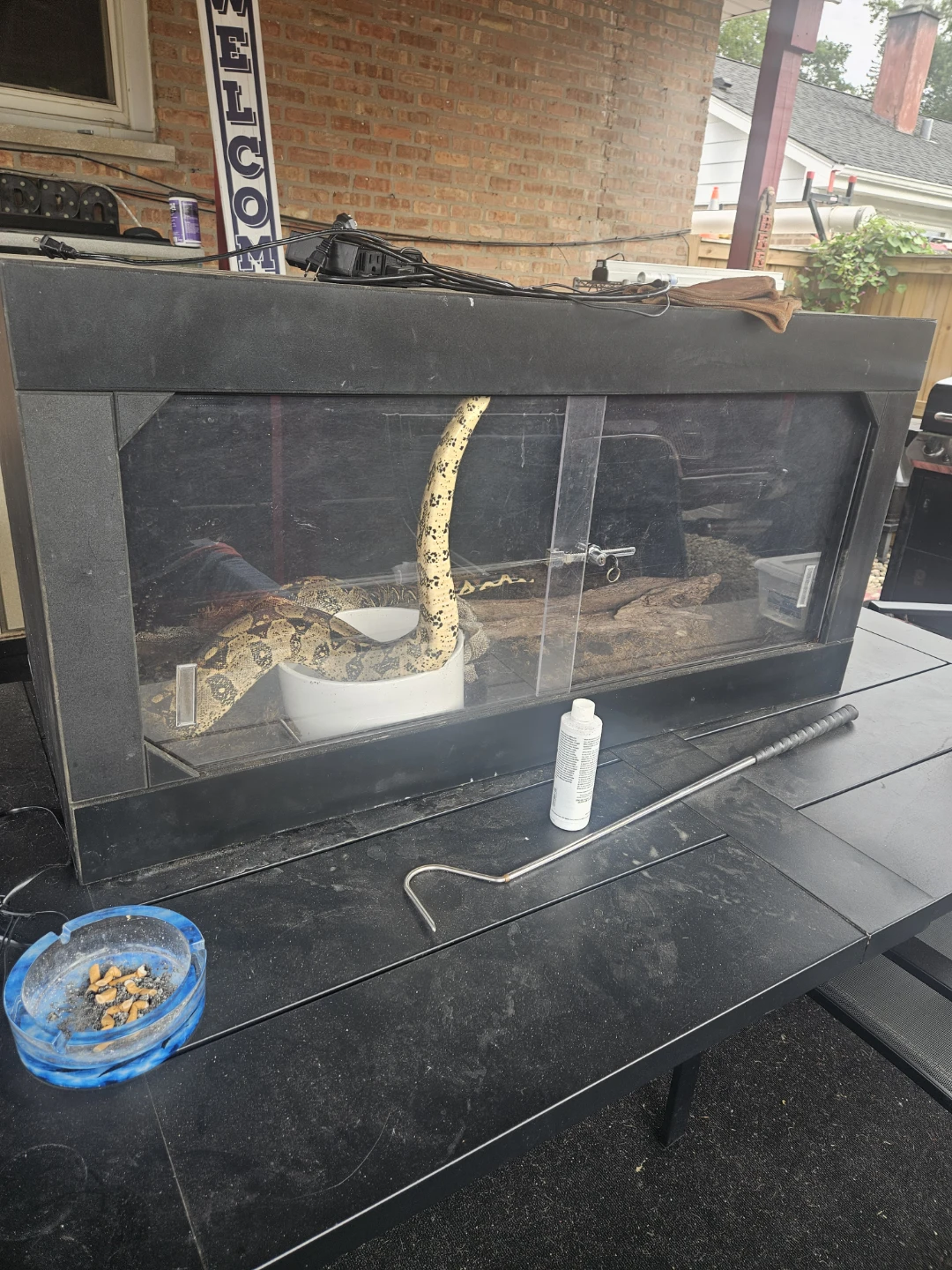 Black Reptile Enclosure Terrarium
