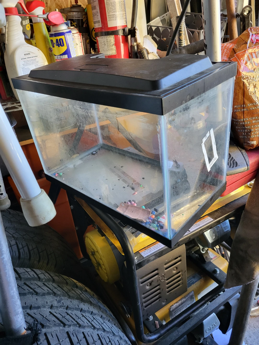 Glass Fish Tank 5 gal. With top