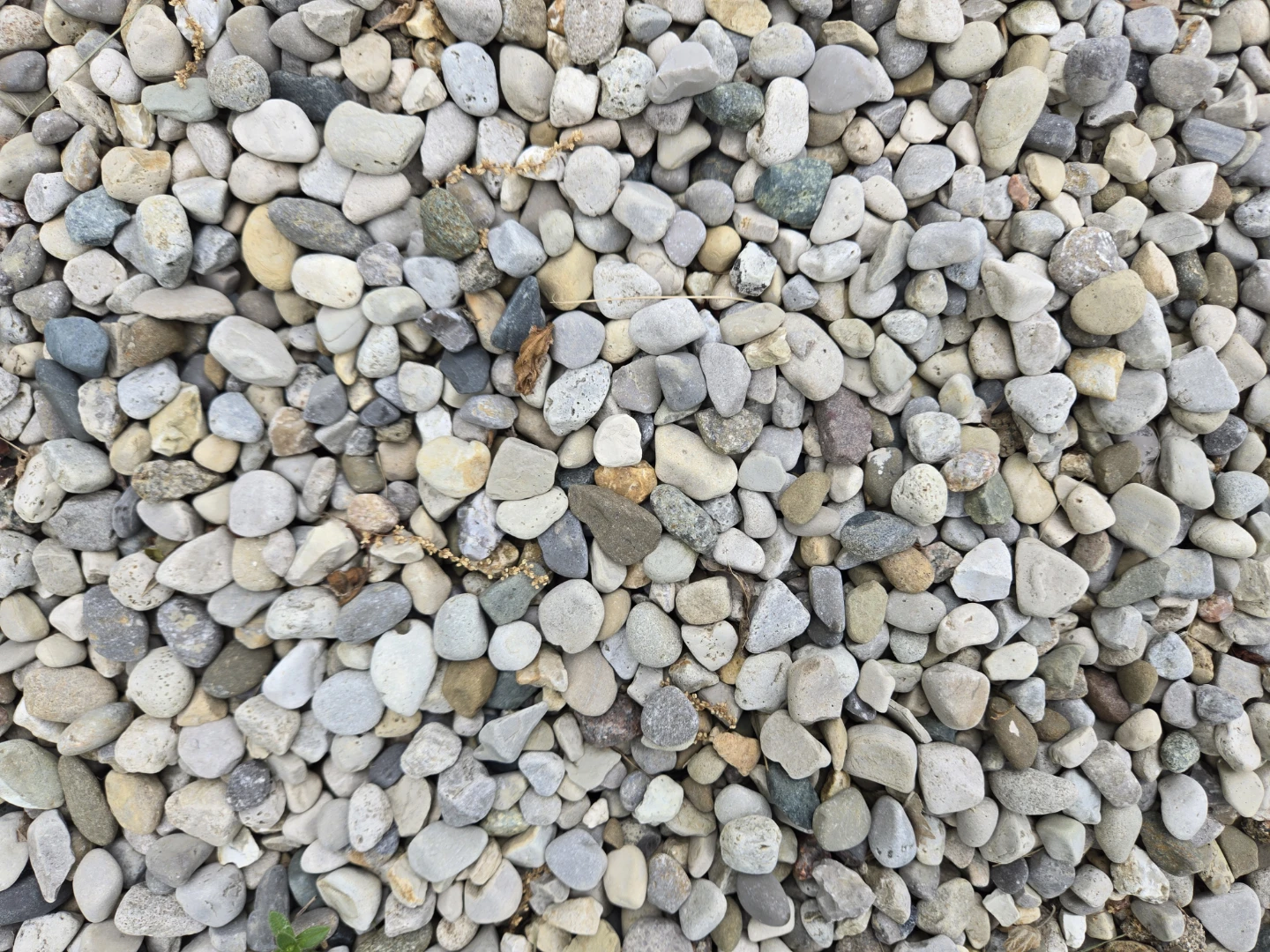 Stones pea Gravel