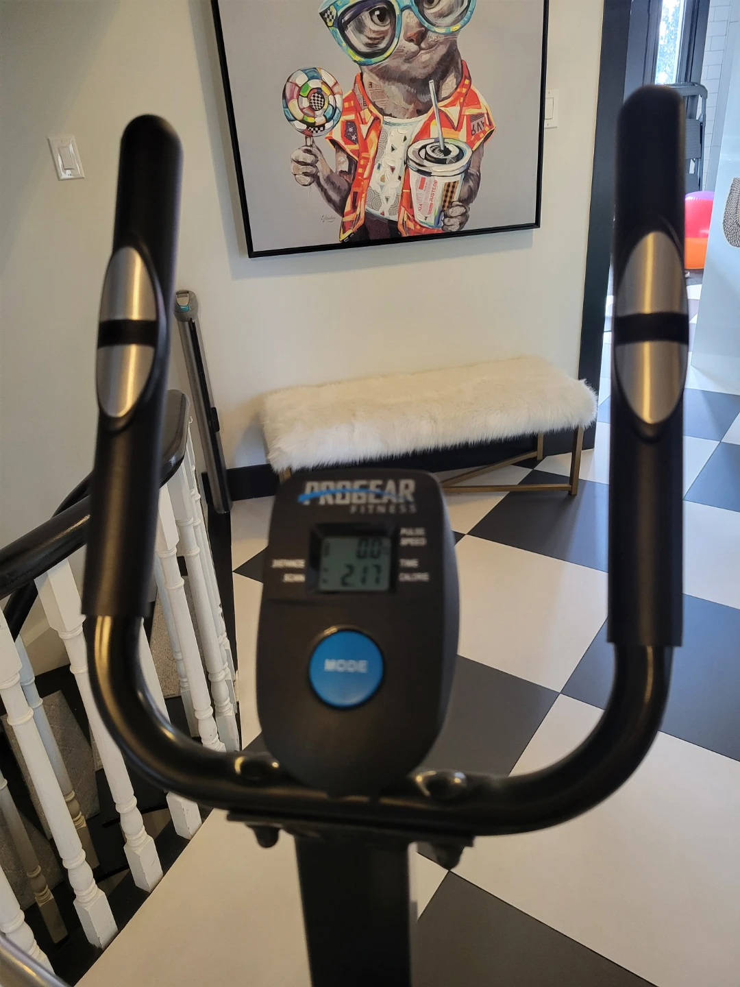 ProGear Air Elliptical Pro - photo 4