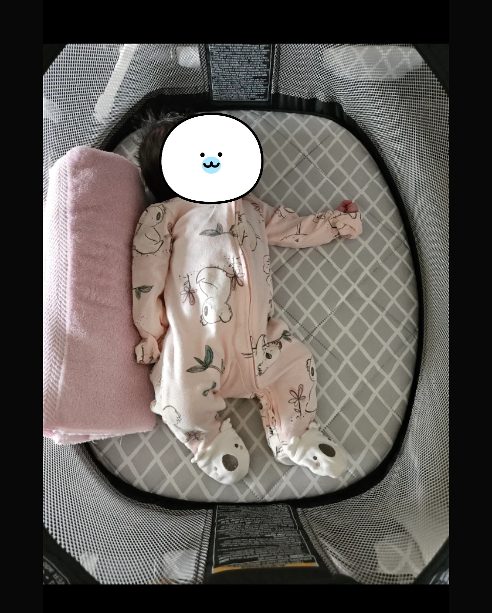 Graco Pack 'n Play Travel Dome LX Playard - Allister - photo 2