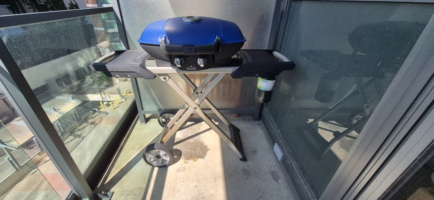 Napoleon BBQ