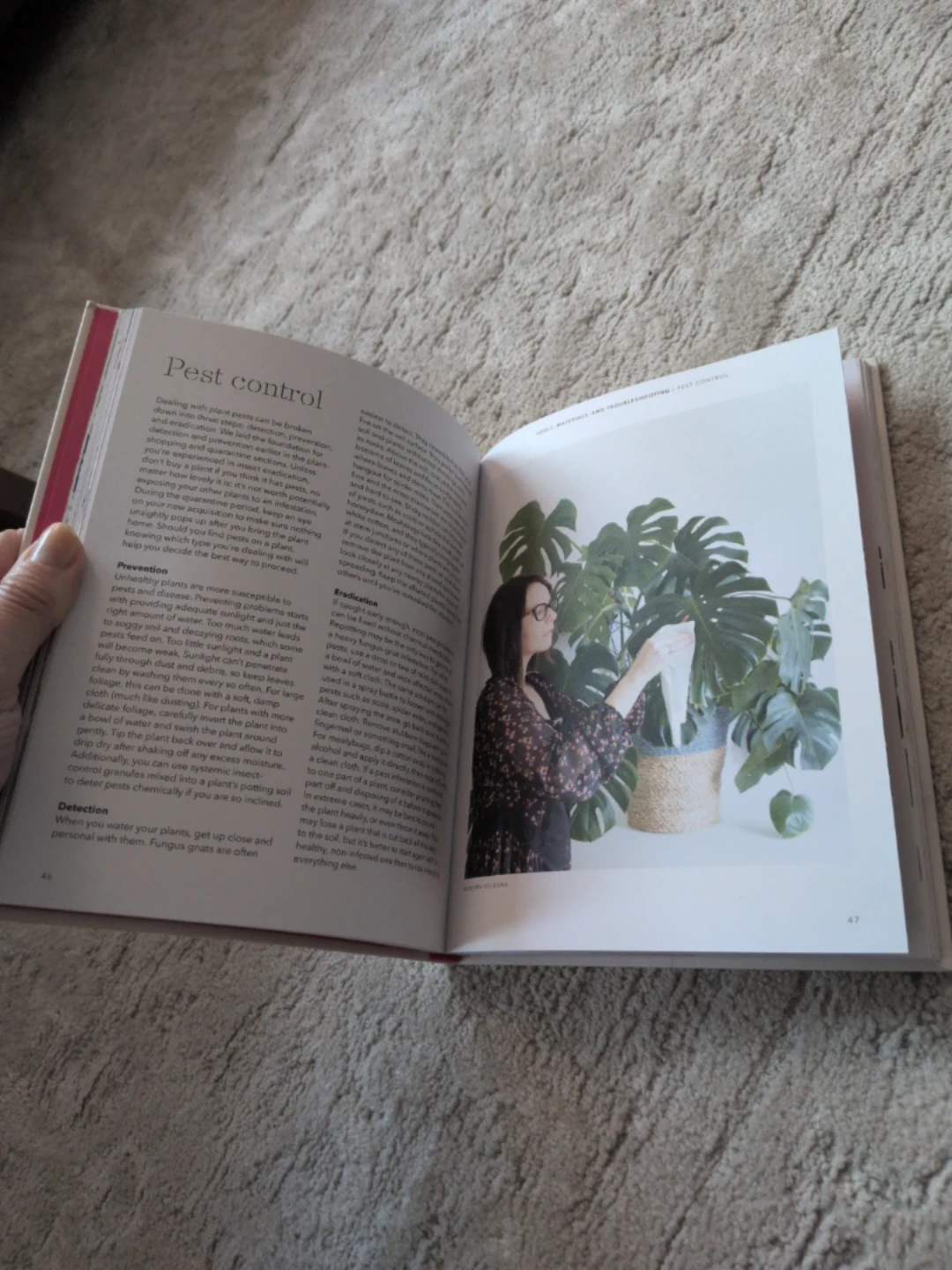 How to Raise a Plant and Make it Love You back - photo 3