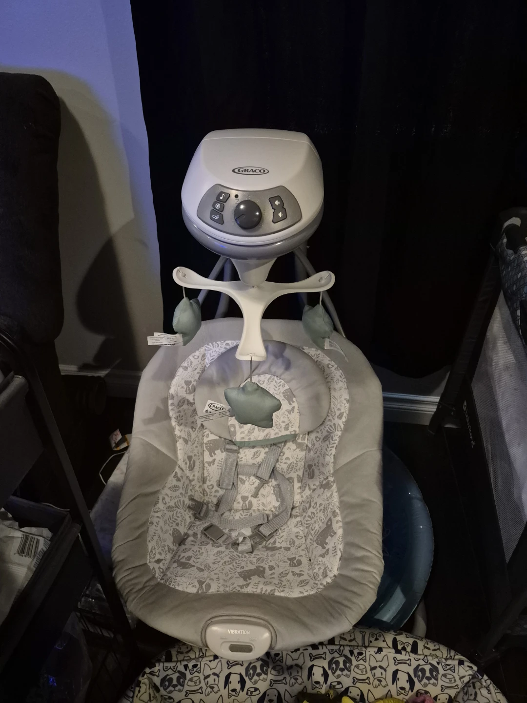 Graco Baby Swing and play mat