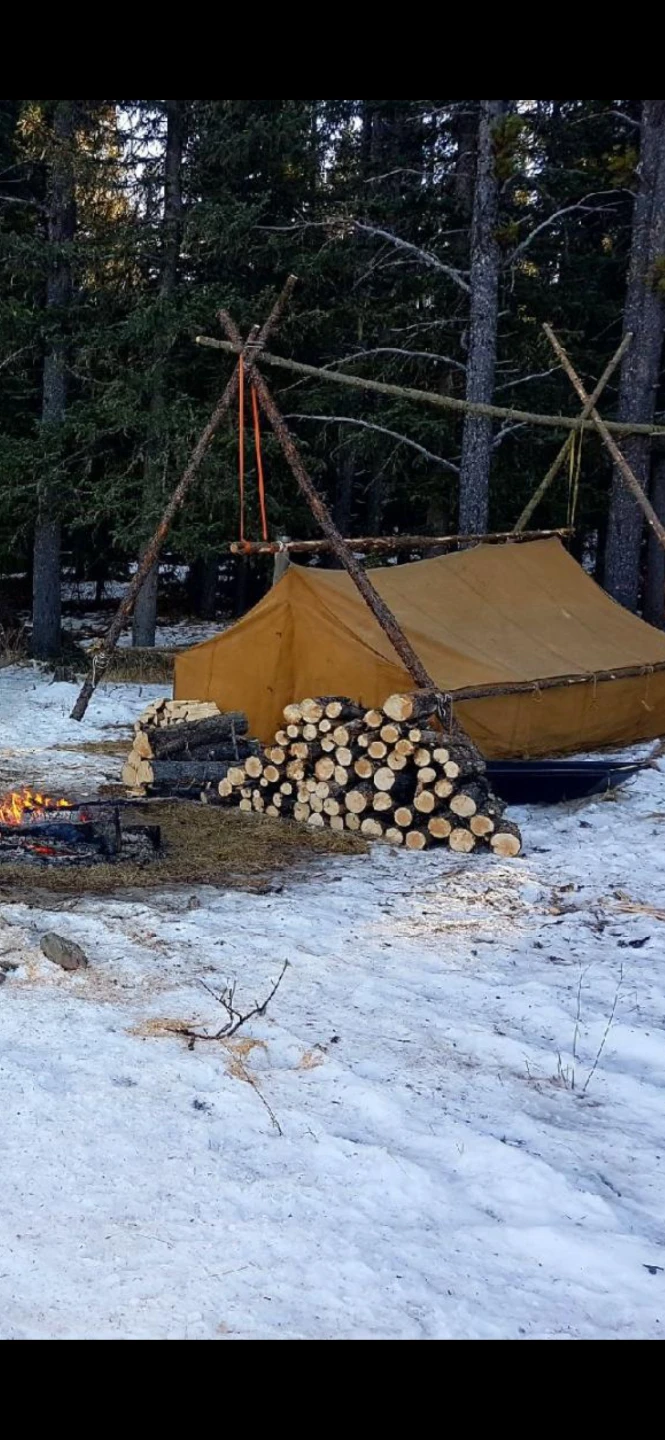 Canvas Wall Tent - photo 3
