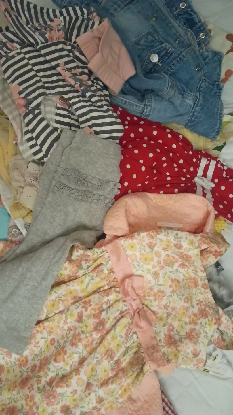 Assorted Baby and Toddler Girl Clothing Bundle 12-18m - photo 2