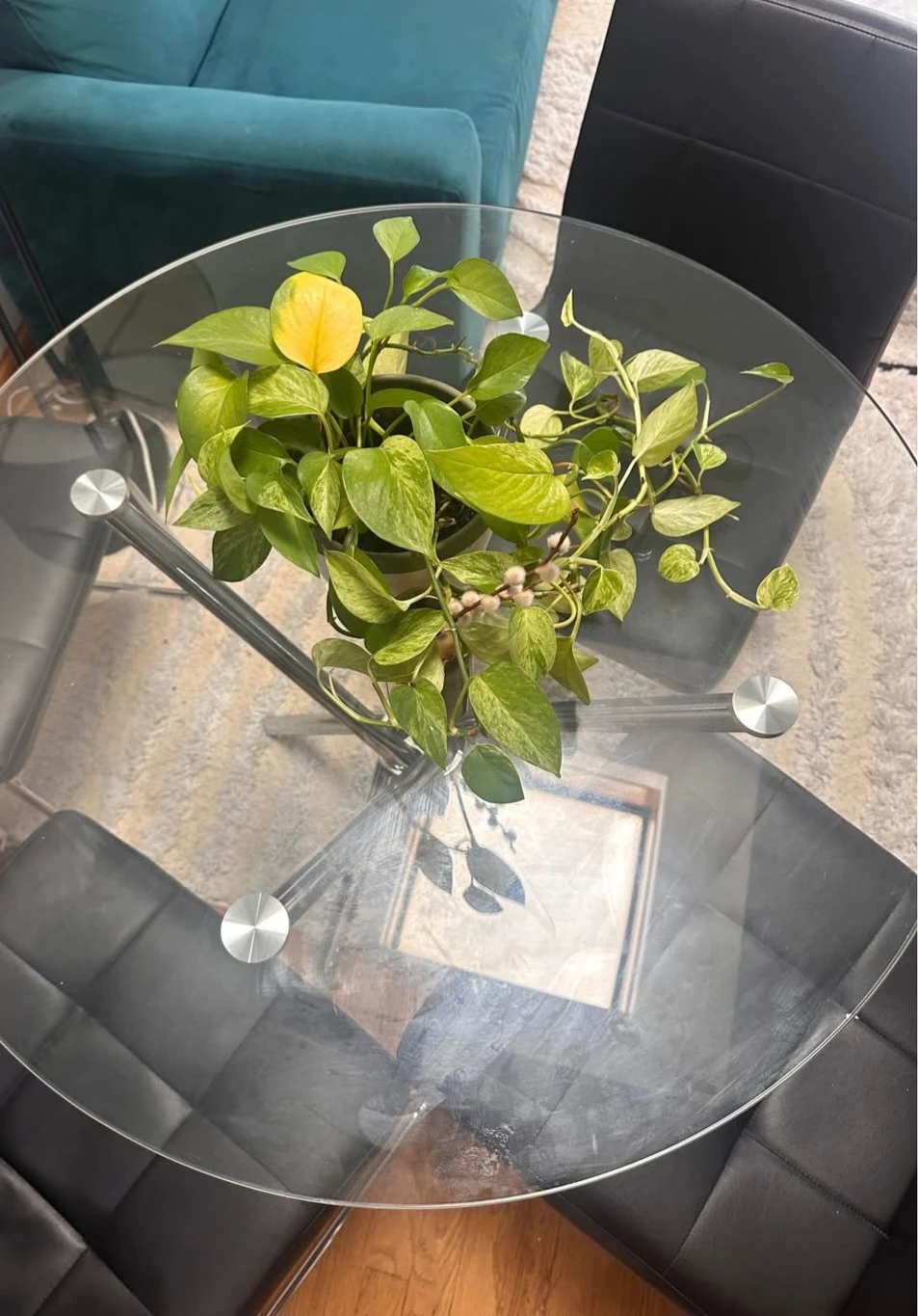 Almost new dining 4 chairs  W glass like new table - photo 2