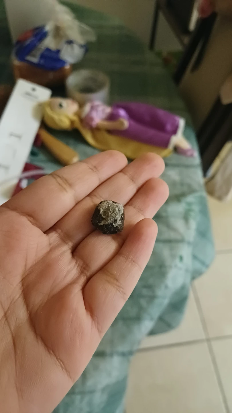 Small dark textured stone - photo 3