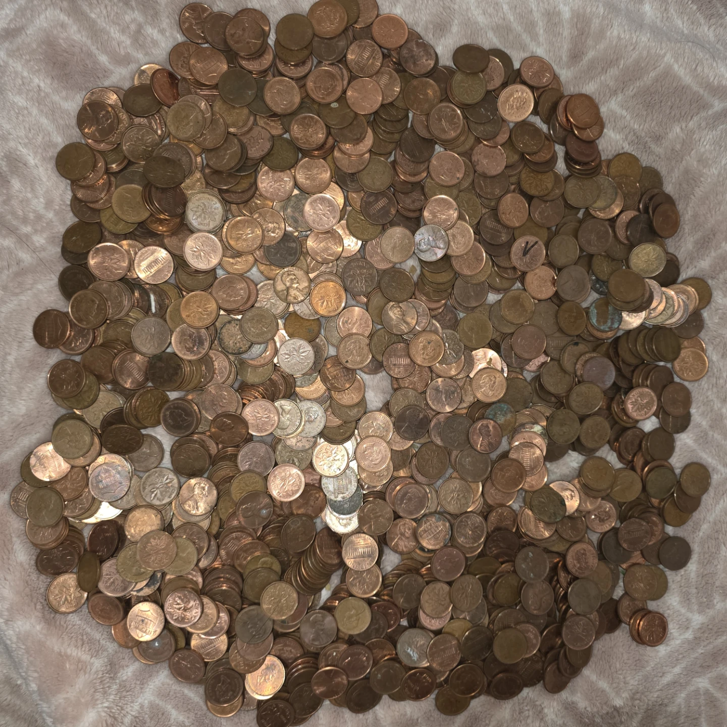 Large Collection of Canadian Pennies