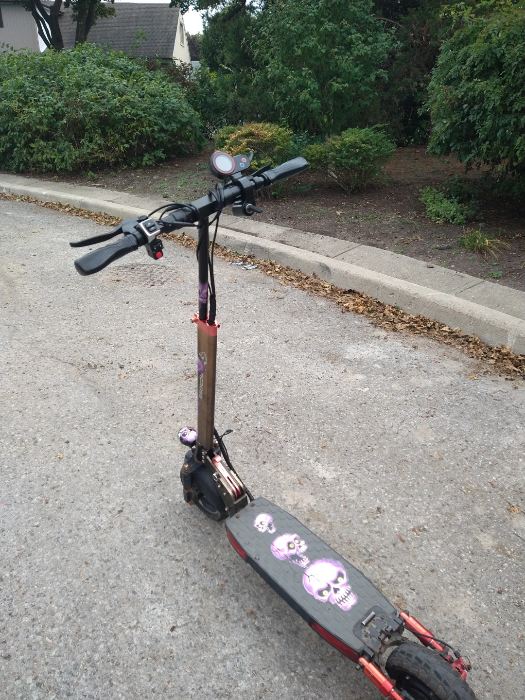 Electric Scooter - photo 5