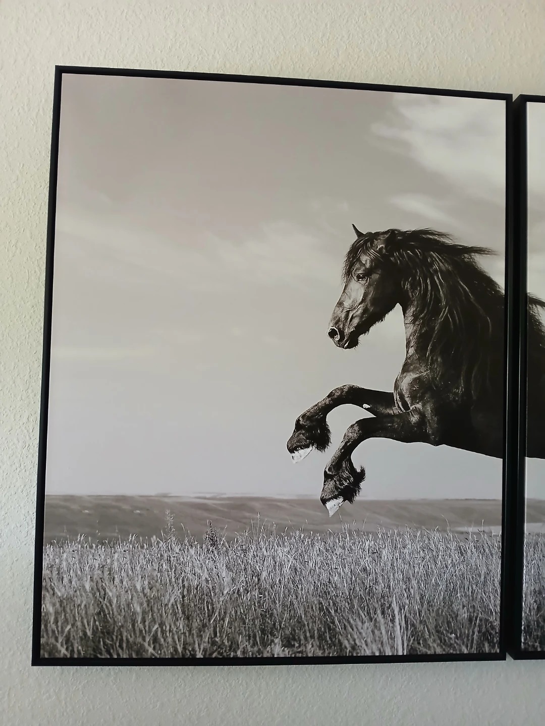 Black and White Horse Wall Art Set - photo 2