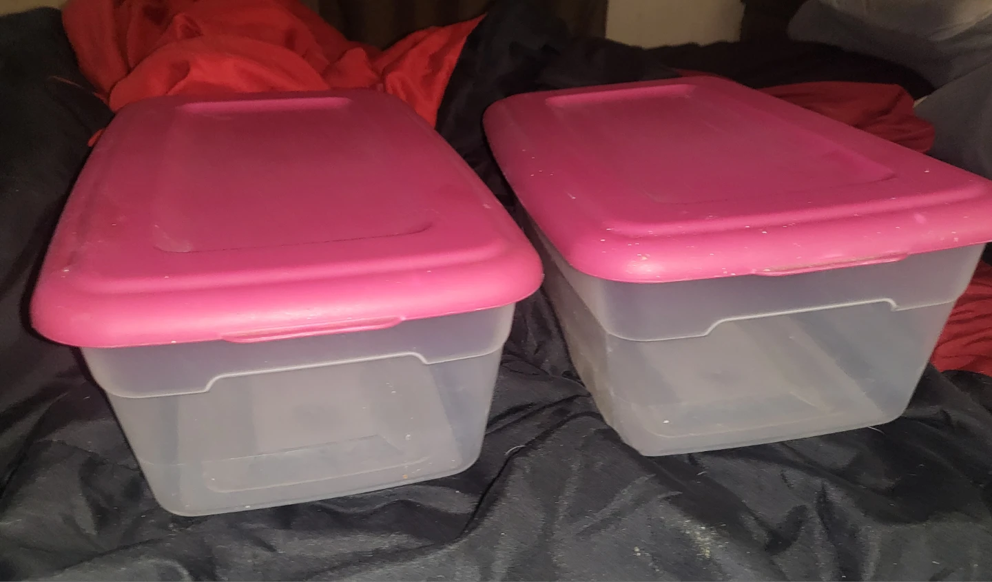 Two clear plastic storage bins with pink lids