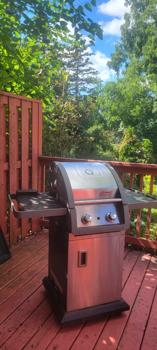 Bbq gril
