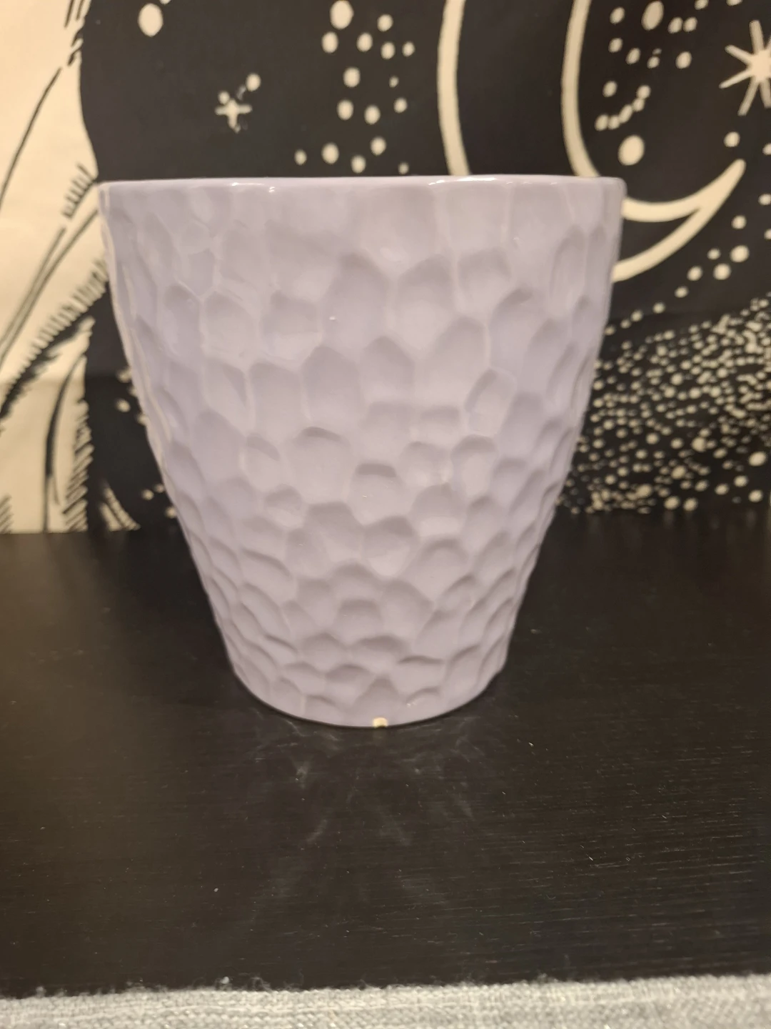 Two decorative ceramic plant pots