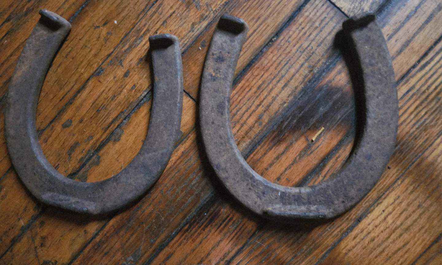 Vintage Metal Horseshoes & Rustic D Handle Shovel Scoop Lot - photo 2