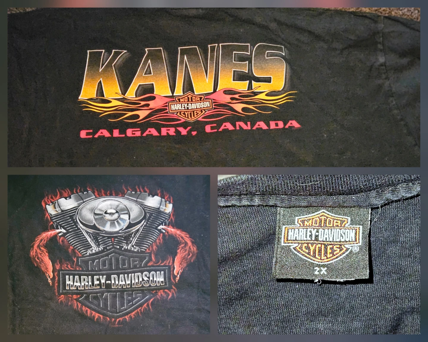 Assorted Harley-Davidson T-Shirts - photo 4