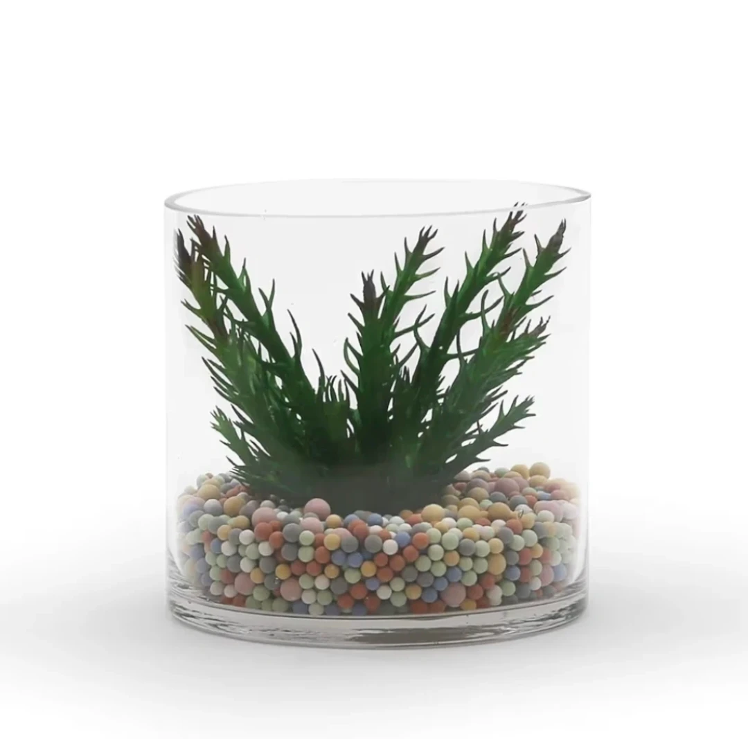 WGV Clear Glass Cylinder Vase 6 inch - photo 4
