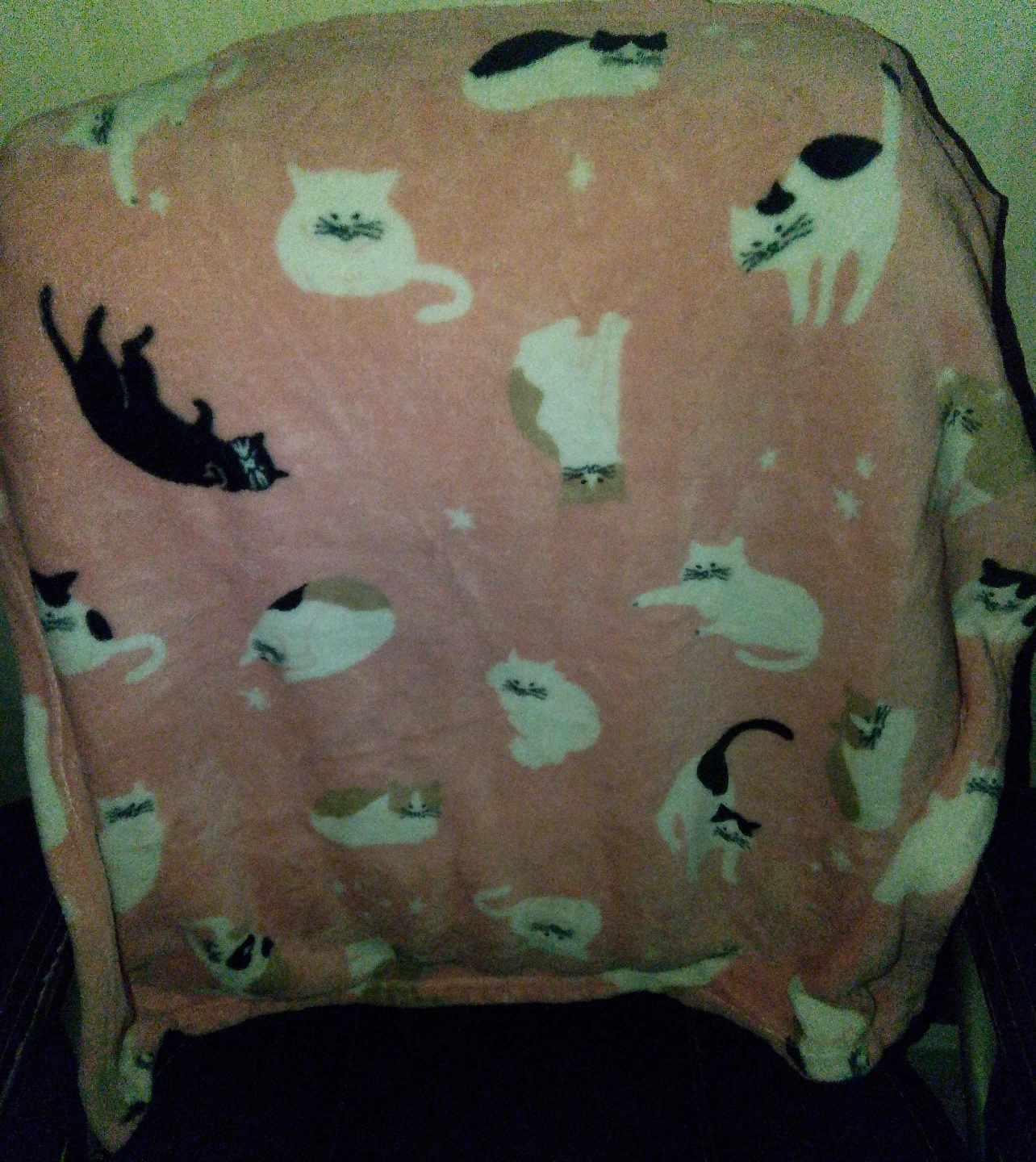 Super Soft Pink Cat Blanket