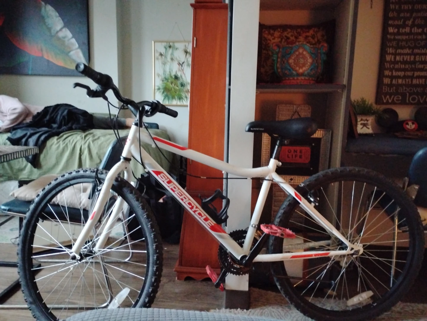 Supercycle Mountain Bike