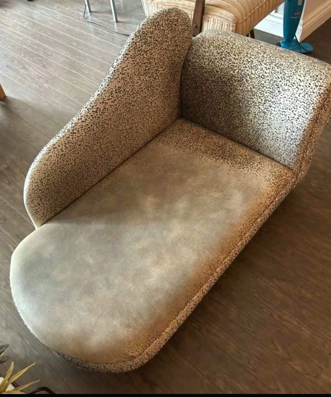 Free Medium/Large Pet Lounge - photo 2