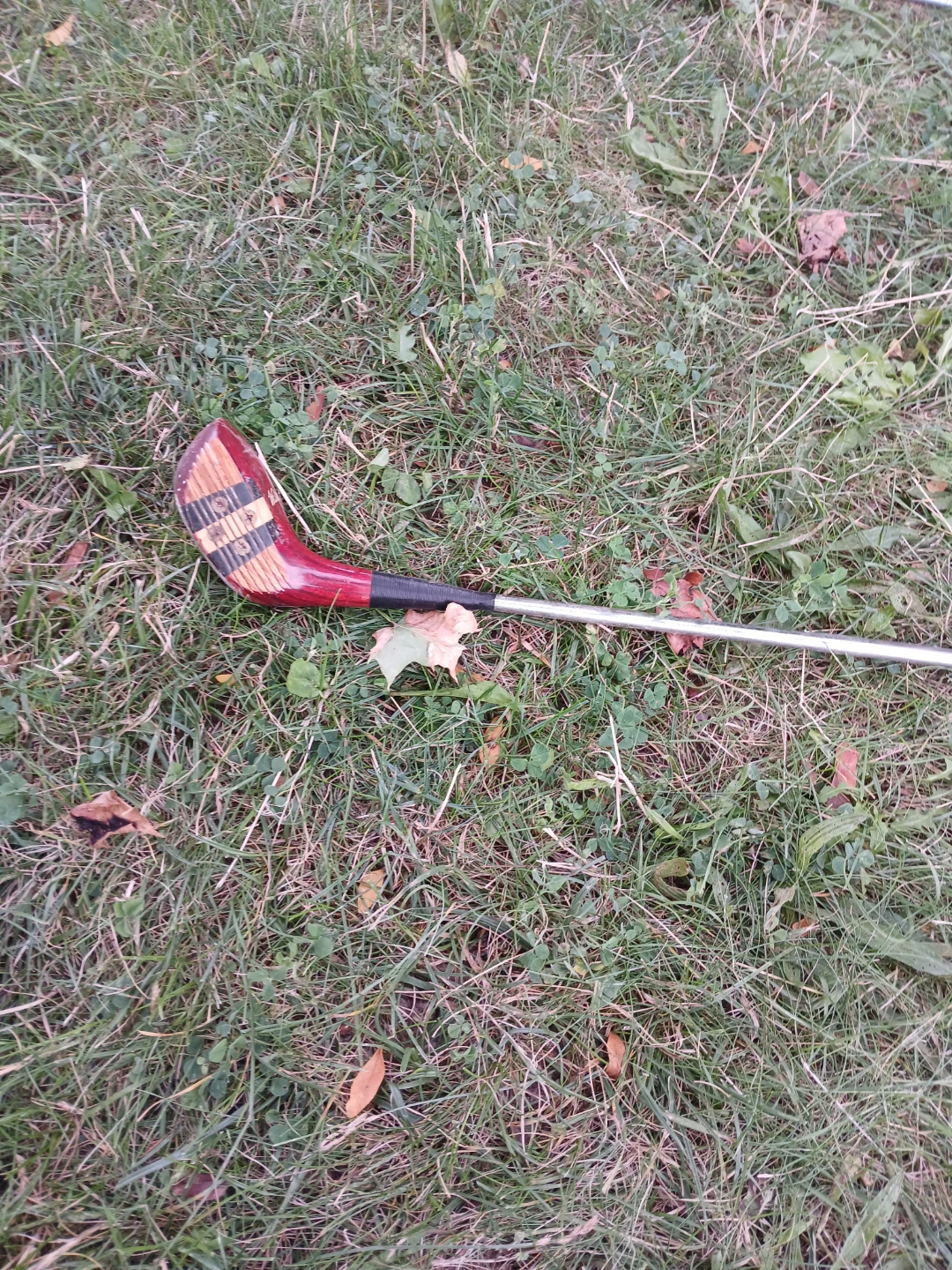 Vintage Wooden Golf Club