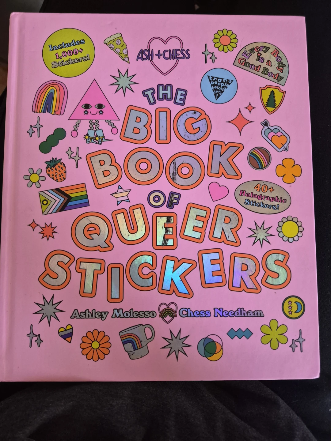 The Big Book of Queer Stickers by Ash + Chess - photo 2