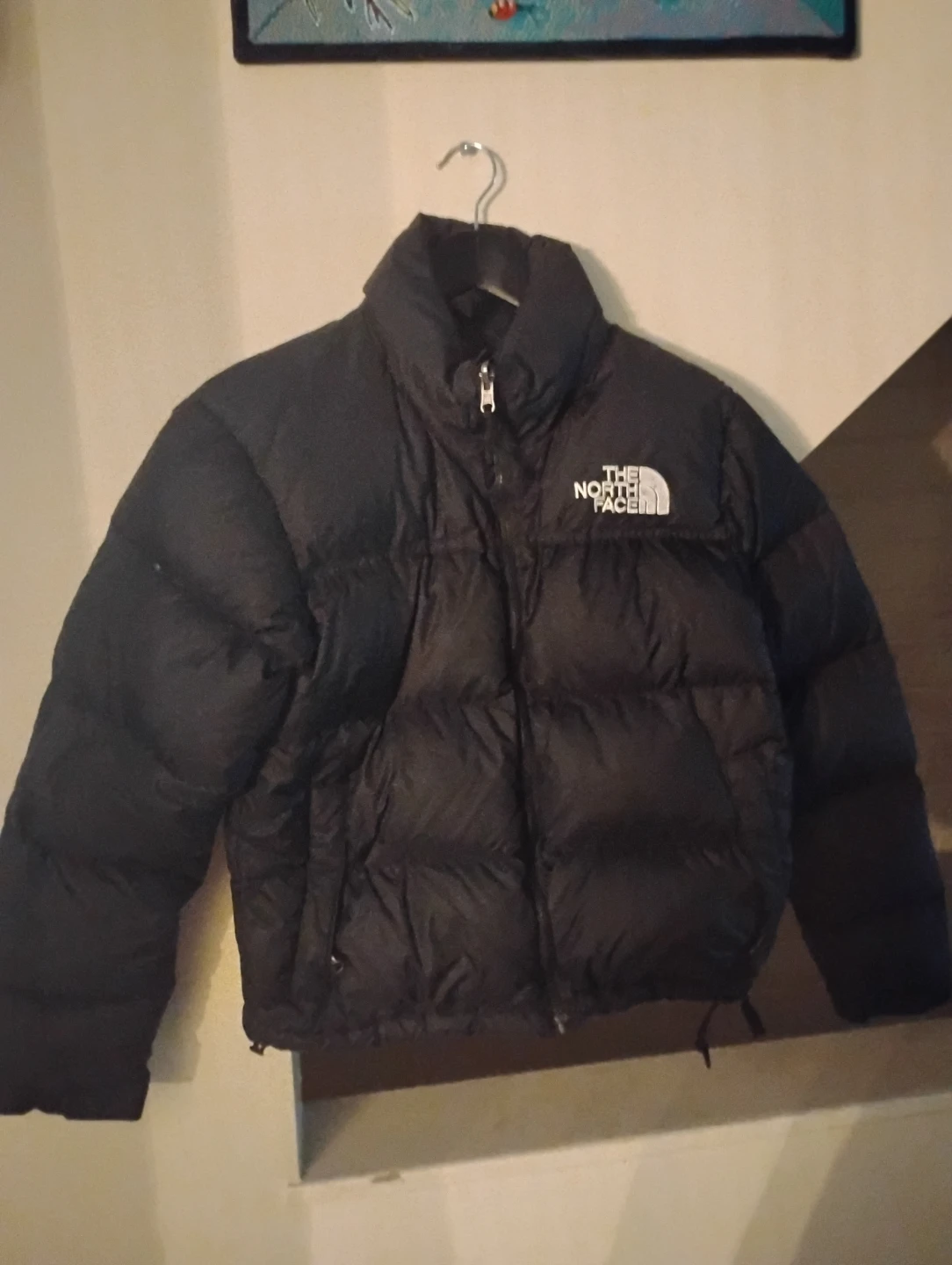 The North Face Women's Black Down Jacket