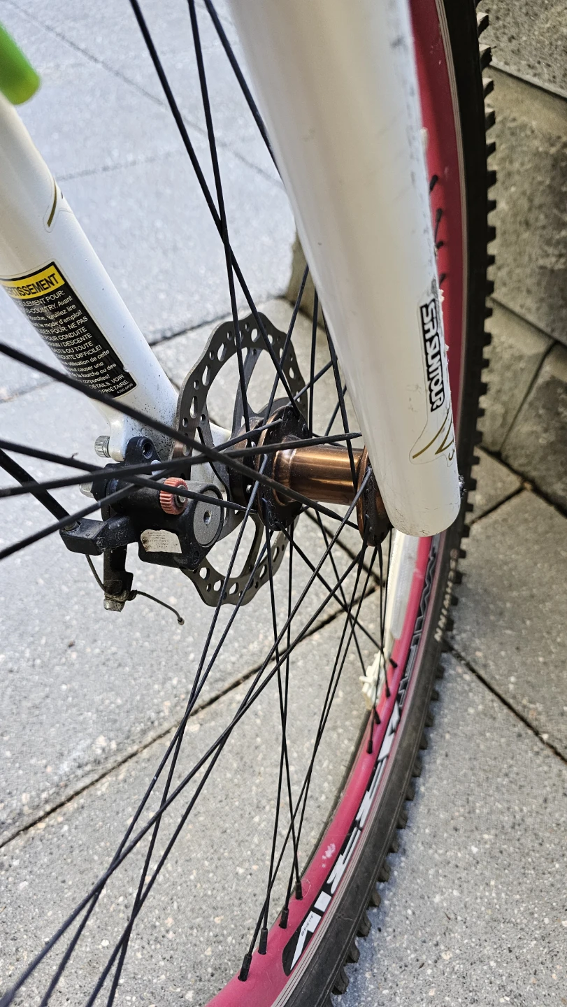 Schwinn Mountain Bike - photo 2