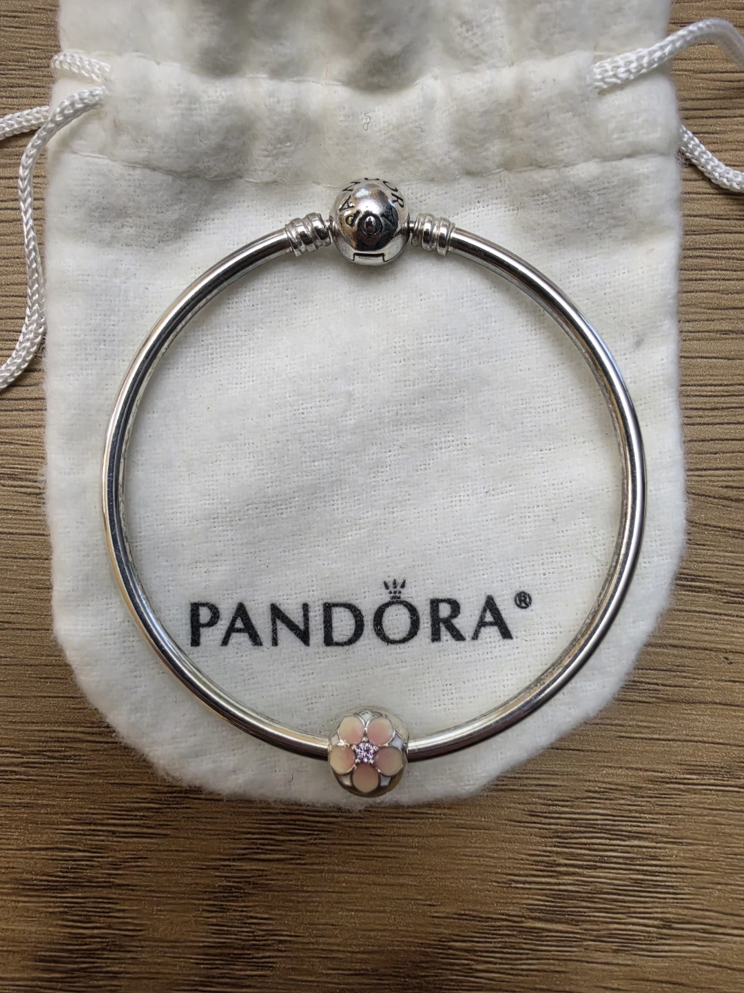 Brand New Pandora Moments Bangle Bracelet with one Charms - photo 2