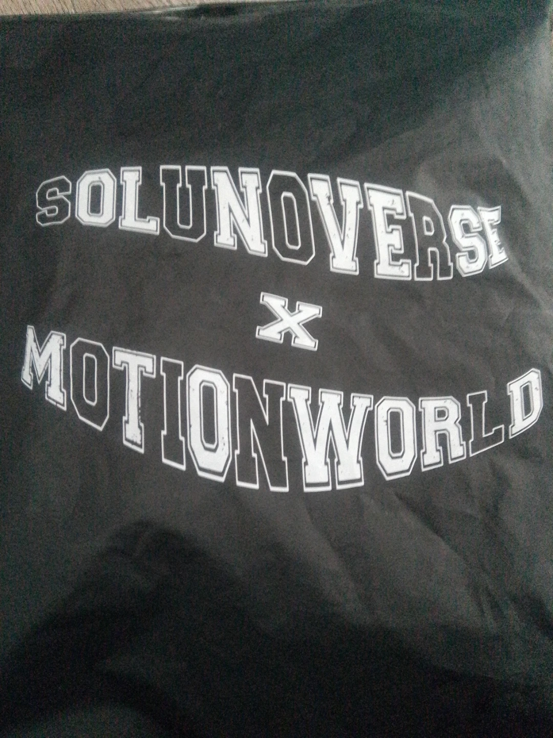 MotionWorld hoddie