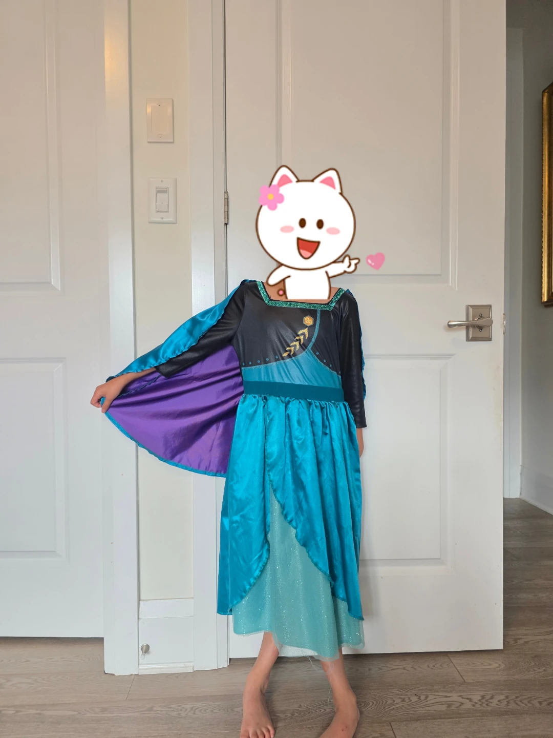 Disney Frozen Anna Costume - photo 3