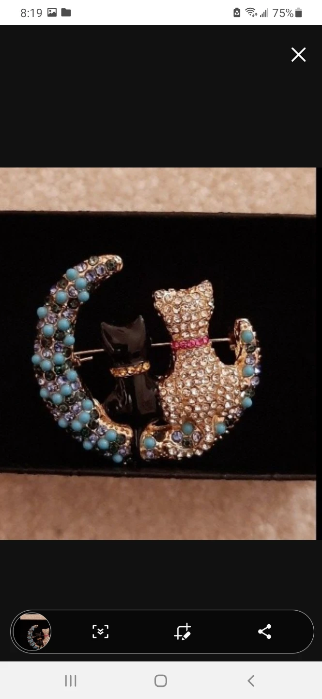 Brooch with two Cats on a  Moon.