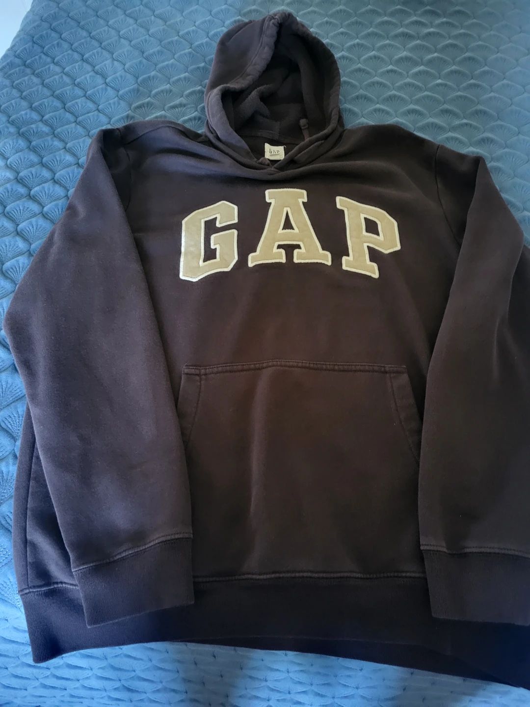 GAP Brown Logo Hoodie